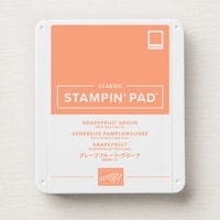 Grapefruit Grove Classic Stampin' Pad