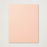 Petal Pink 8-1/2" X 11" Cardstock