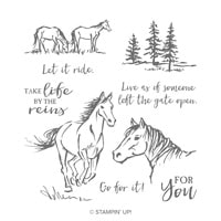 Let It Ride Cling Stamp Set