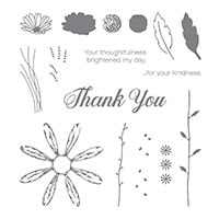 Daisy Delight Photopolymer Stamp Set