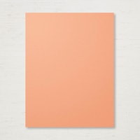 Grapefruit Grove 8-1/2" X 11" Cardstock