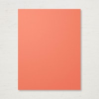 Calypso Coral 8-1/2" X 11" Cardstock