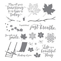 Colorful Seasons Photopolymer Stamp Set