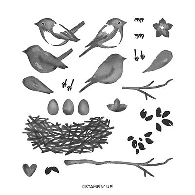 Birds & Branches Photopolymer Stamp Set