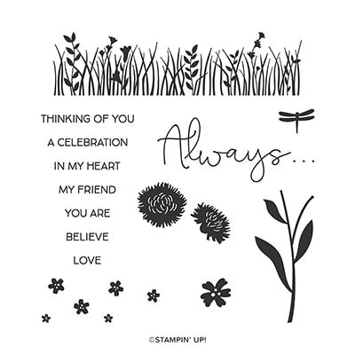 Field Of Flowers Photopolymer Stamp Set