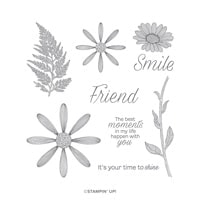 Daisy Lane Cling Stamp Set