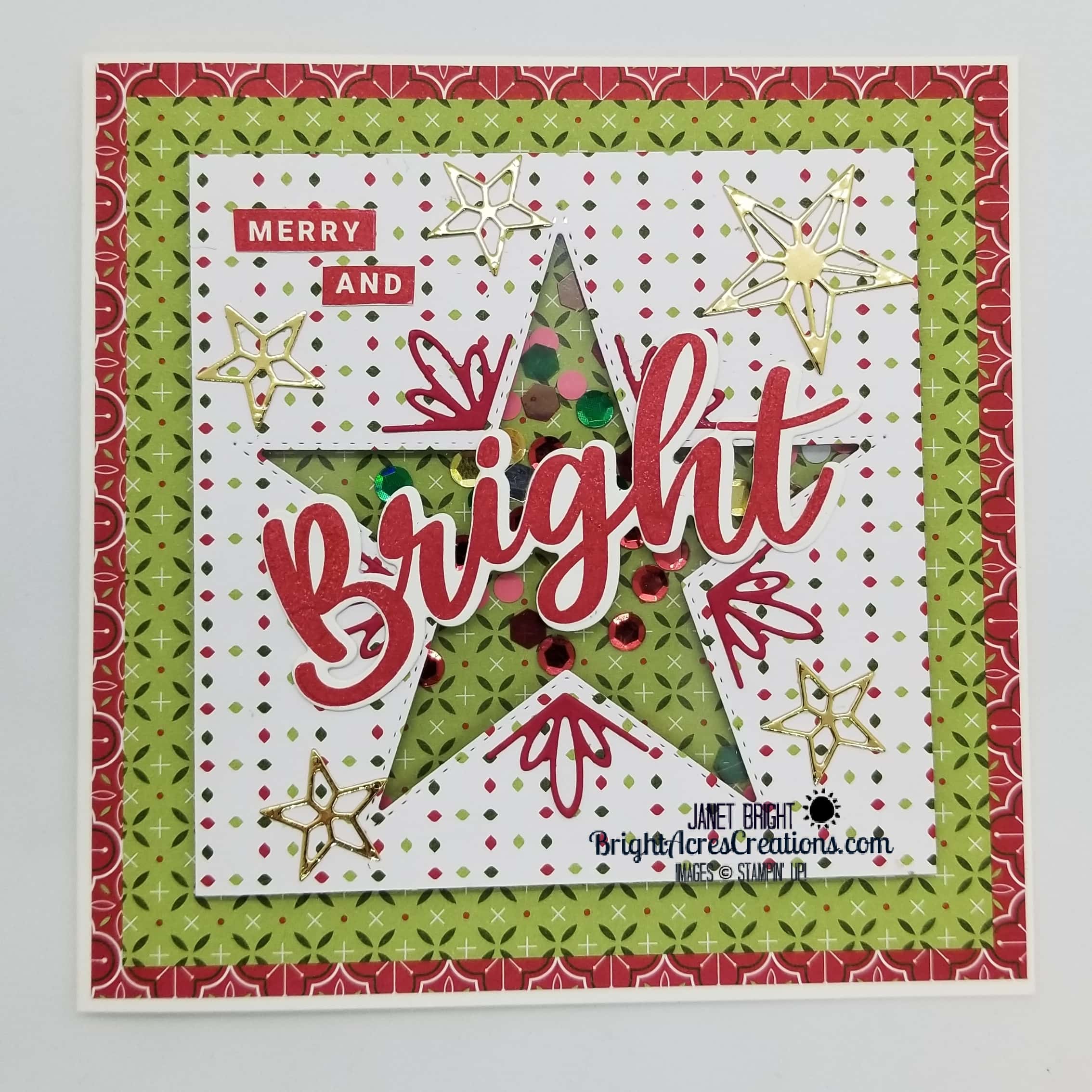 Shaker card using Stampin' Up Peace & Joy Bundle