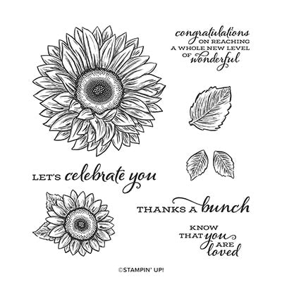 Celebrate Sunflowers Cling Stamp Set (English)