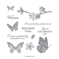 Butterfly Wishes Cling Stamp Set