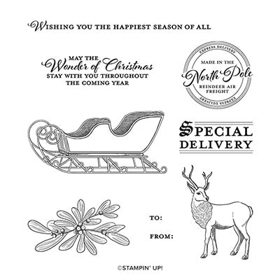 Wishes & Wonder Cling Stamp Set (English)